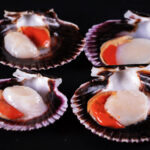 Vieira del Pacífico