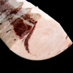 Lomos / Filetes de Espada Natural