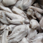 Tentáculos de pota atlántica