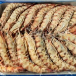 Langostino tigre