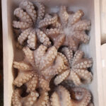 Pulpo limpio