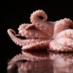 Pulpo cocido pasteurizado