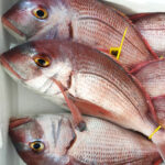 Pargo